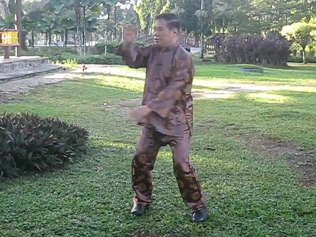 Wu Chuan You Style Taijiquan